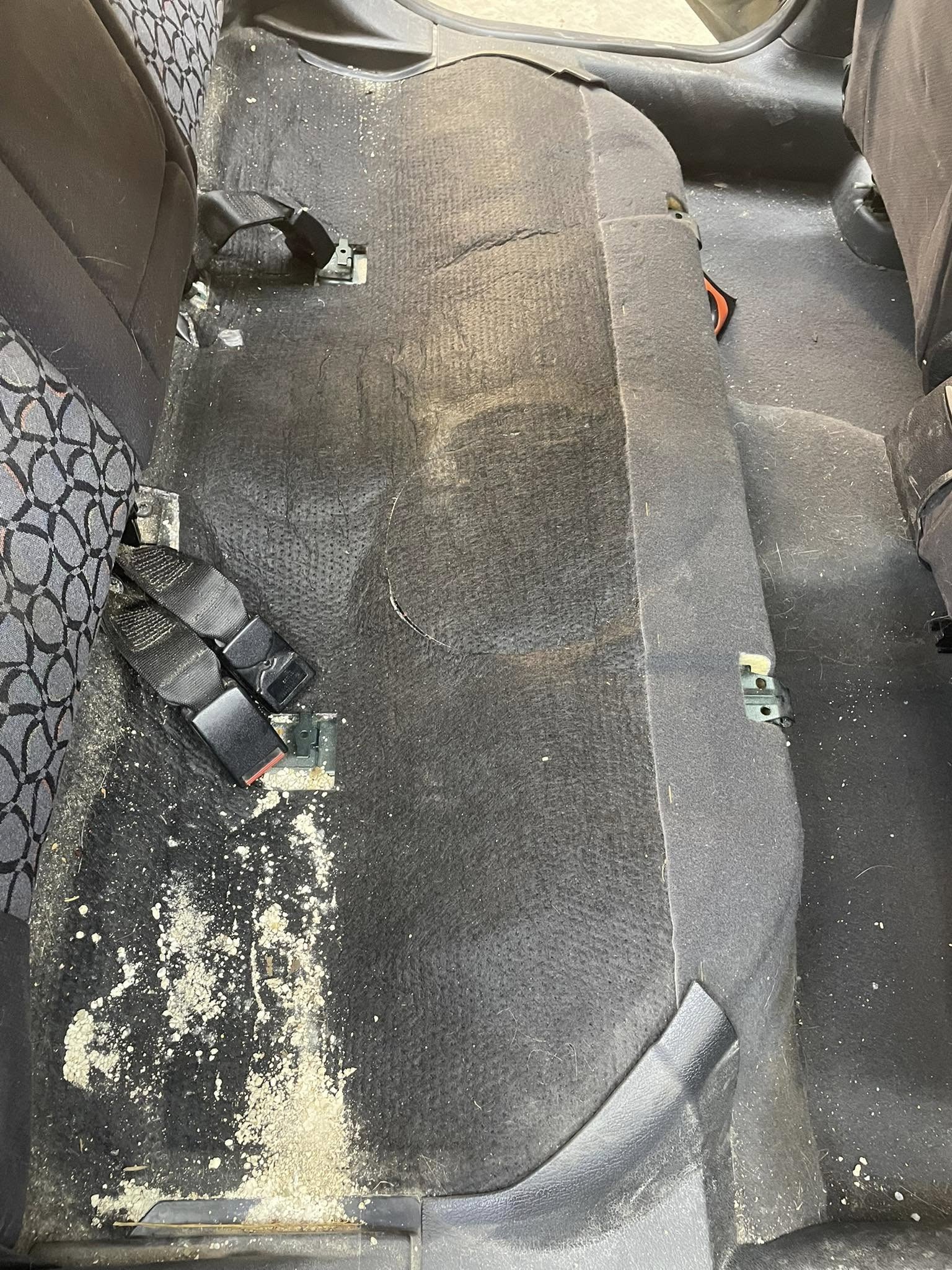 480971546_122122678838670872_965365951826534077_n